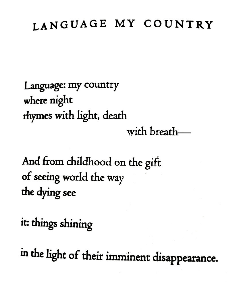 ZeeshanJaanam's tweet image. Language: my country 
where night 
rhymes with light...

—Franz Wright