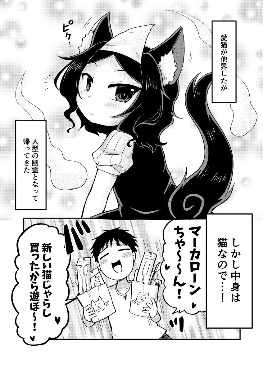 愛猫に新しい猫じゃらしを与えたが… #創作漫画 #漫画が読めるハッシュタグ