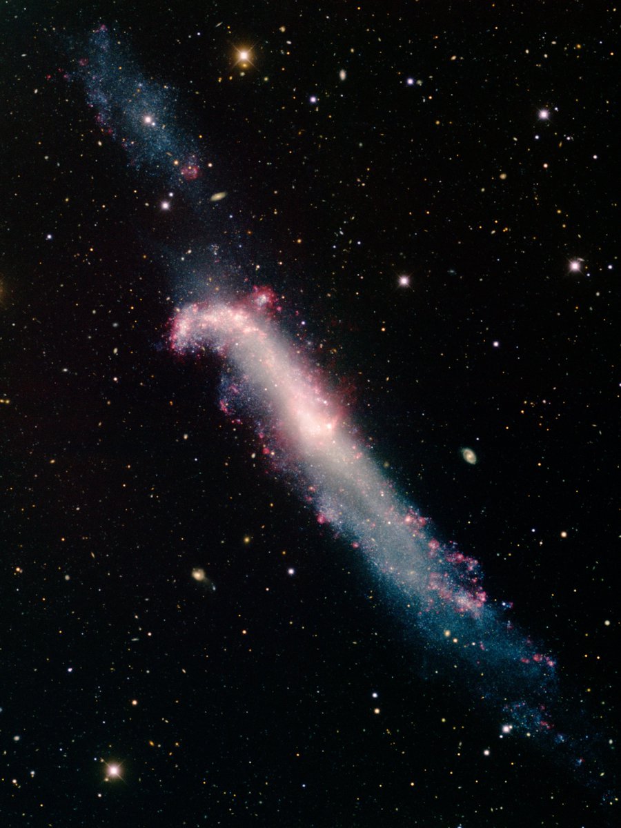 uhd2020's tweet photo. The Hockey Stick Galaxy, 30 million light-years away from Earth. https://t.co/nLI2VpYg9z