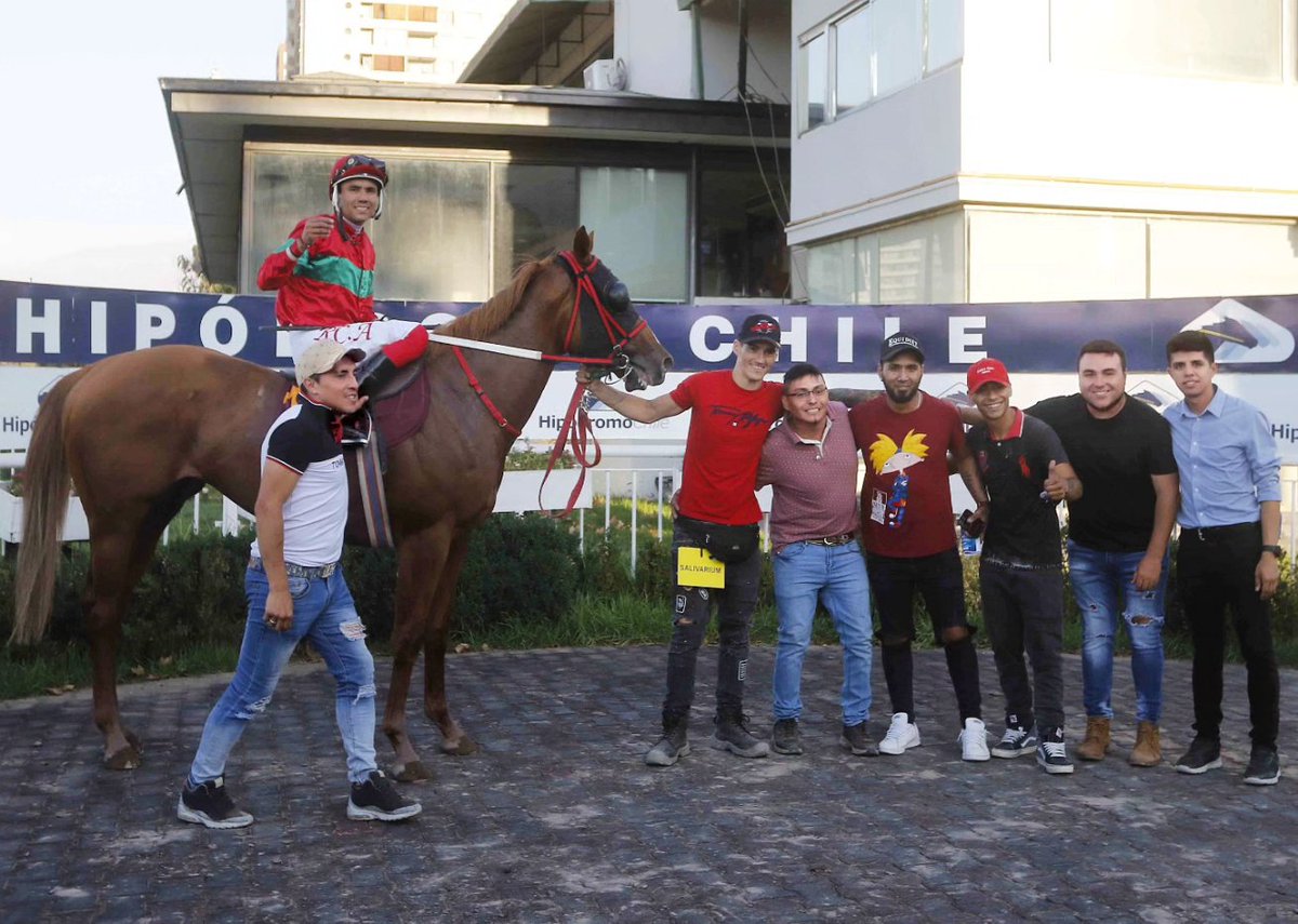 ¡Golden Leopard volvió a sonreír! 💪 El hijo de Morning Raider y Golden Victory derrotó por 3½ cuerpos a Nagao en un hándicap de 1.200 metros corrido hoy en @hipodromo_chile, logrando así el segundo triunfo de su campaña. ¡Felicitaciones al #TeamSumaya por esta gran doblona! 🎉