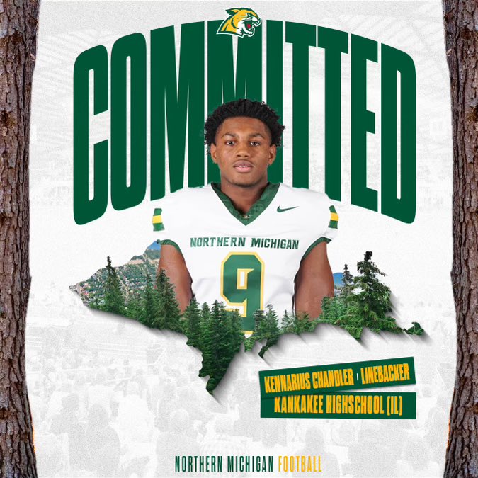 ChandlerKenn9's tweet photo. %100 COMMITTED💚💛@NMU_CoachRich @ONLY1RIDDICK @MilesOsei @1Purpose1Goal @Coach_Chandler2 
@KankakeeFB https://t.co/t79w6A8yNV