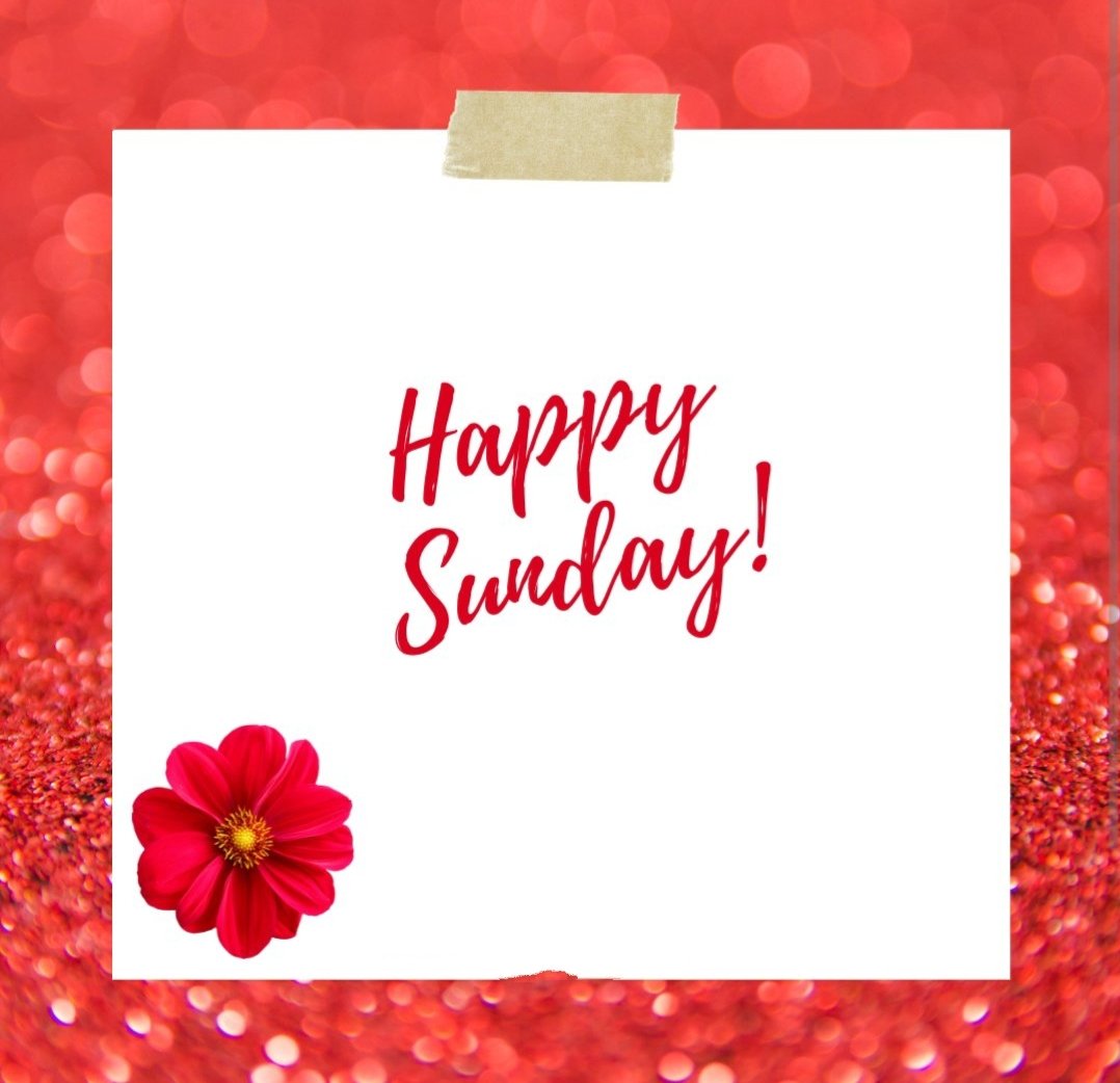 Happy Weekend 😍 Enjoy your Sunday 😊 #WeekendVibes #sundayvibes #HappySunday