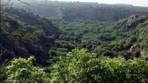 Naturographyx's tweet photo. 🚫‼️stop cutting the #Hasdeo forest, otherwise nature will slap you in such a way that every generation coming after you will mourn. @narendramodi @PMOIndia @BBCEarth @WildlifeMag @UNHumanRights @NatGeo @Nature @elonmusk @MrBeast @GretaThunberg Please! help to stop 🛑 this. https://t.co/ZyGnkUtplR