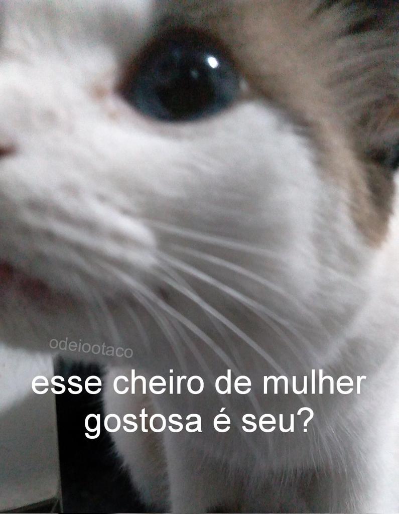 flaviotitum's tweet photo. @shin_requiem Engraçado é o "odeiootaco" na imagem kkkk https://t.co/ekw0ESDItk