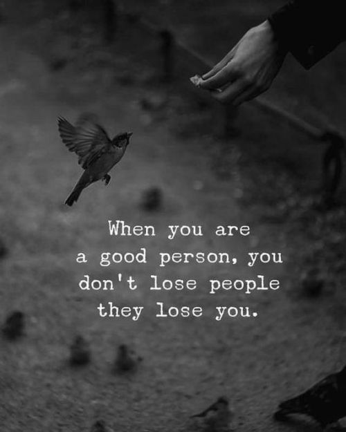 mindfulmaven_'s tweet photo. https://t.co/lurDOmbq7S