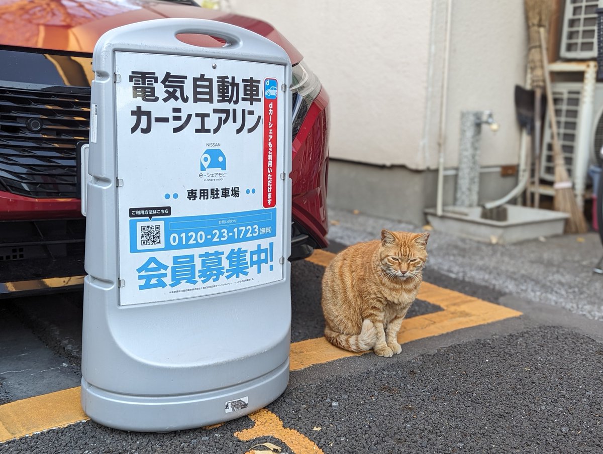 nori22's tweet photo. ねこもシェアされている https://t.co/r4xU2taVzU