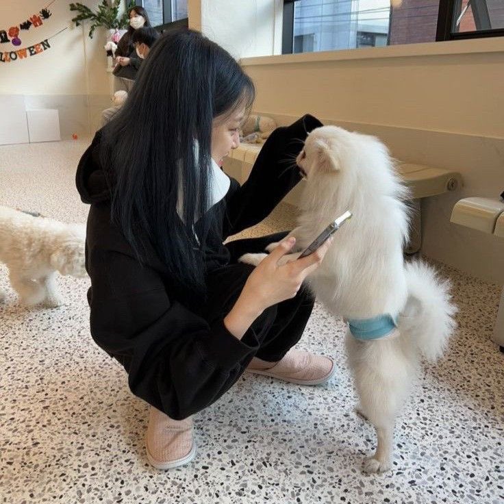 𝐏𝐎𝐕: começamos a sair e agora essa é a sua galeria!!!