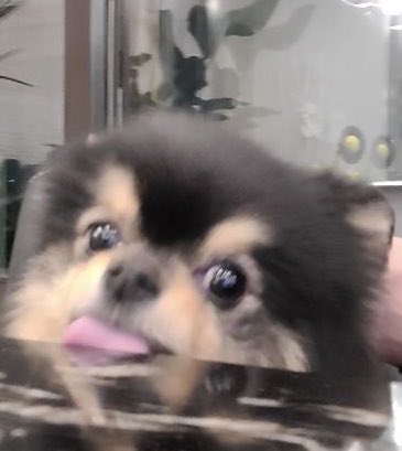 *✧ (@taeteluv_) on Twitter photo 