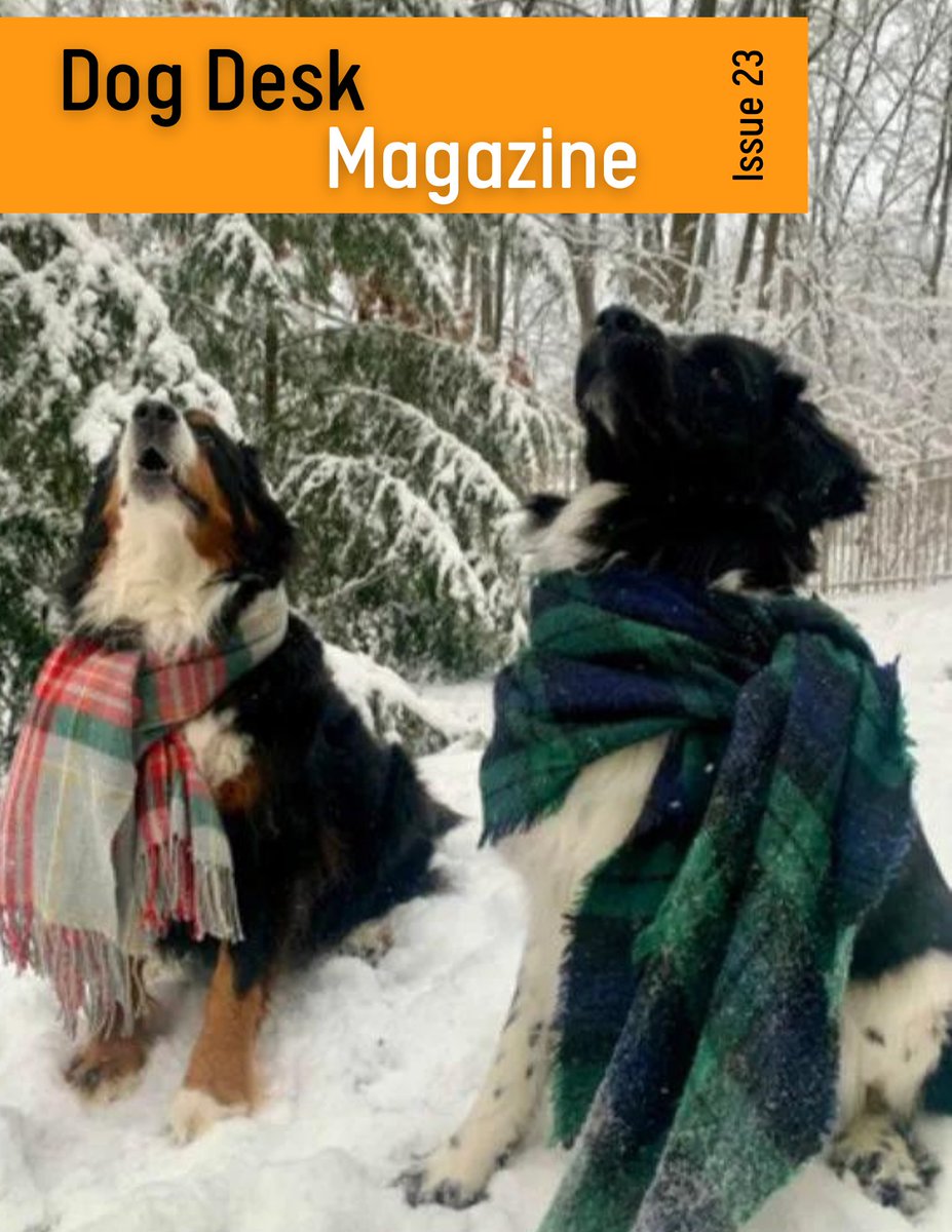 DogDeskAction's tweet photo. Dog Desk Magazine issue 23 is out today &amp; it is FREE

A bumper edition with 71 pages, #BurnsNight  competition winners Ernst &amp; Bjorn are on the cover 😍😍#dogsoftwitter #dogsofx #dogs

ALL the competition entrants are in the magazine 

Find it here https://t.co/4TymMD033z https://t.co/BUy2LB3X3l