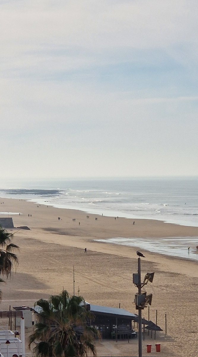 sdzafra's tweet photo. Lo importante de la vida está en lo sencillo #PlayaVictoria #Cadiz https://t.co/XUFyg5ZEL0