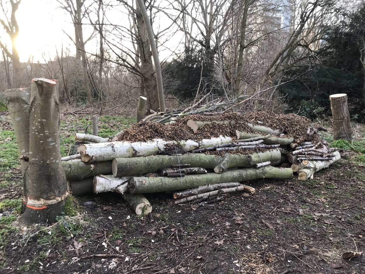 Re Nature London tweet media