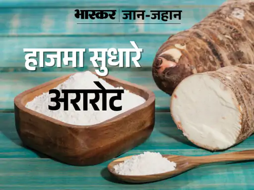 DainikBhaskar's tweet photo. शोध के मुताबिक, अरारोट पाउडर में मौजूद स्टार्च शरीर में फाइबर की तरह काम करता है, यह इम्यून सिस्टम मजबूत बनता है; जानिए इसके फायदे 
#Arrowroot #healthbenefits
https://t.co/DCluQt1X0b https://t.co/iaIGebMg0o