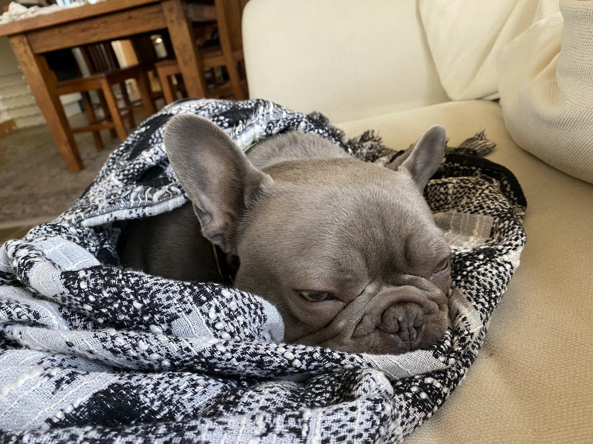0_buford's tweet photo. Good morning https://t.co/7bttqlXwKT