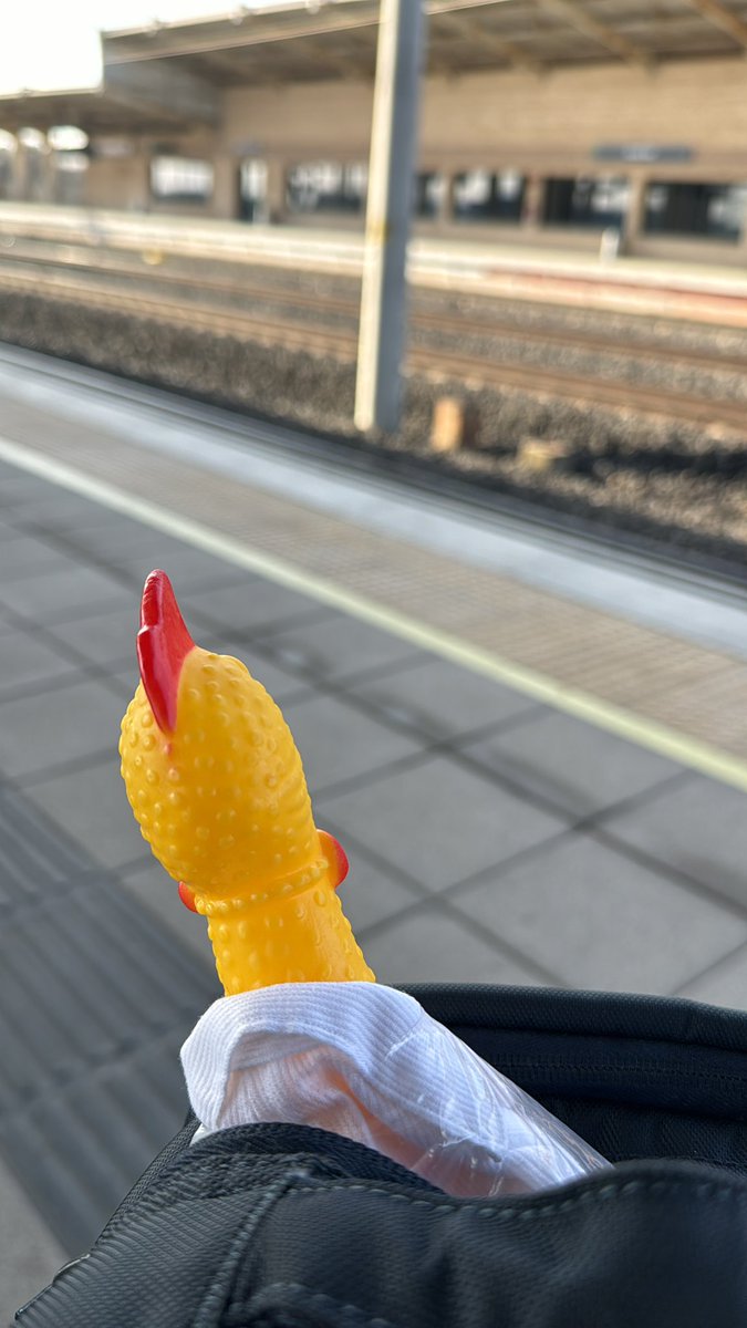 Prof ChemChicken tweet media