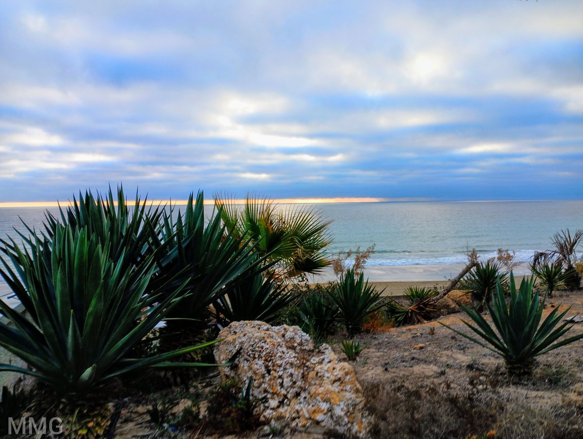 mariamrt95's tweet photo. Amanecer 28-01-2024 https://t.co/ckUx0aQ0Dt
