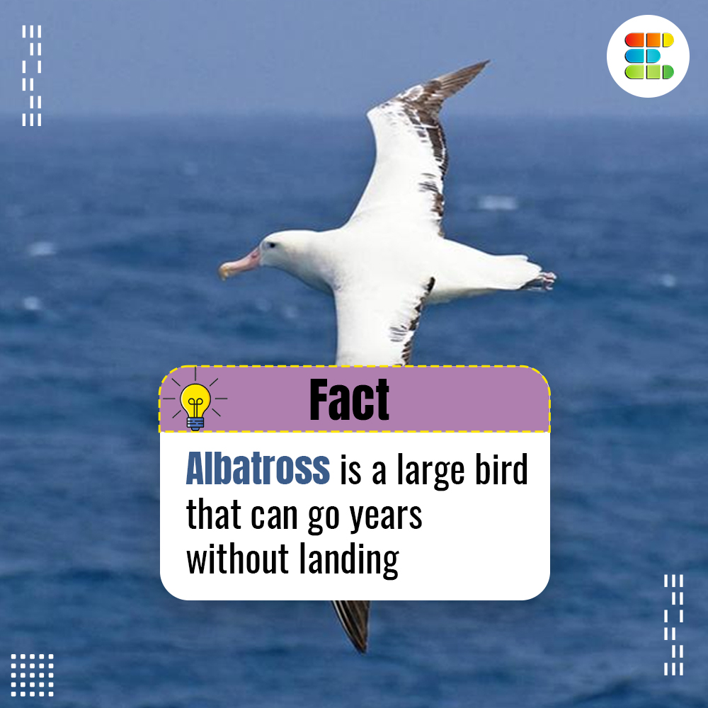 EXPRTO3's tweet image. hit the follow button if you don&apos;t want to miss next post 🧠🍁

#educativefeed
#fact #facts