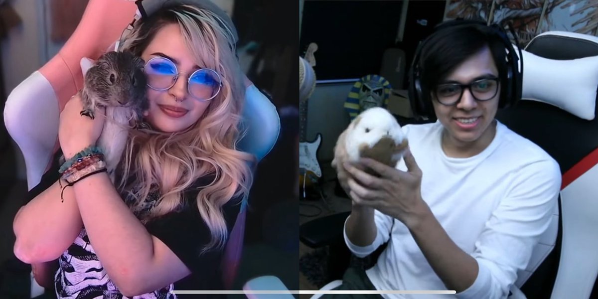 KittenZer0 💙🐱 tweet media