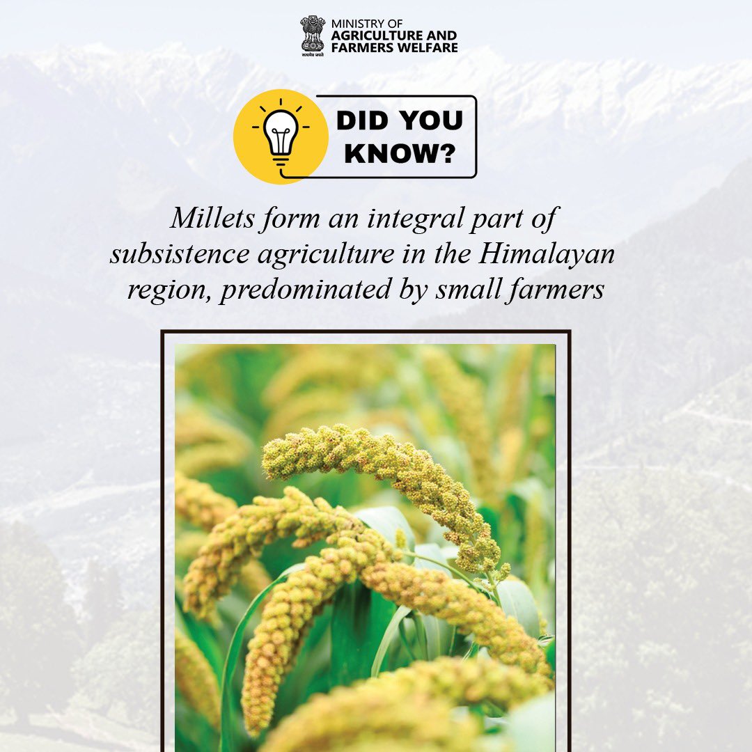 Harvesting Resilience: Millets play a crucial role in sustaining nutrition for people residing in the Himalayas, where small farmers cultivate these resilient grains for their daily diet and commercial purposes.

#IYM2023 #ShreeAnna #Himalayas
