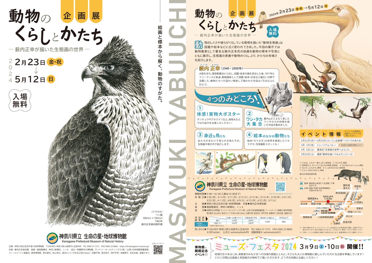 seimeinohoshiPR's tweet photo. ／
完成した企画展チラシがこちら！
＼

企画展のチラシは、両面ともフルカラーでのデザインです。
クマタカのペン画と絵本「くちばし」の表紙、好みが分かれそう。

https://t.co/dQMDnw1Vhm https://t.co/DnFWjDIc6M