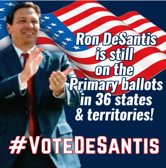 CivicViewPoint's tweet photo. @gal_red11250 @JohnBauer78 @OliviaFLNative I agree. We can send a message, by continuing to #VoteDeSantis! He's still on 30+ ballots and if he gets a bunch of votes in all these states & territories, when he's not even campaigning, it can't be ignored by the media or the RNC. Keep Ron DeSantis in the news! #checkthebox https://t.co/AVXAlxcUy3