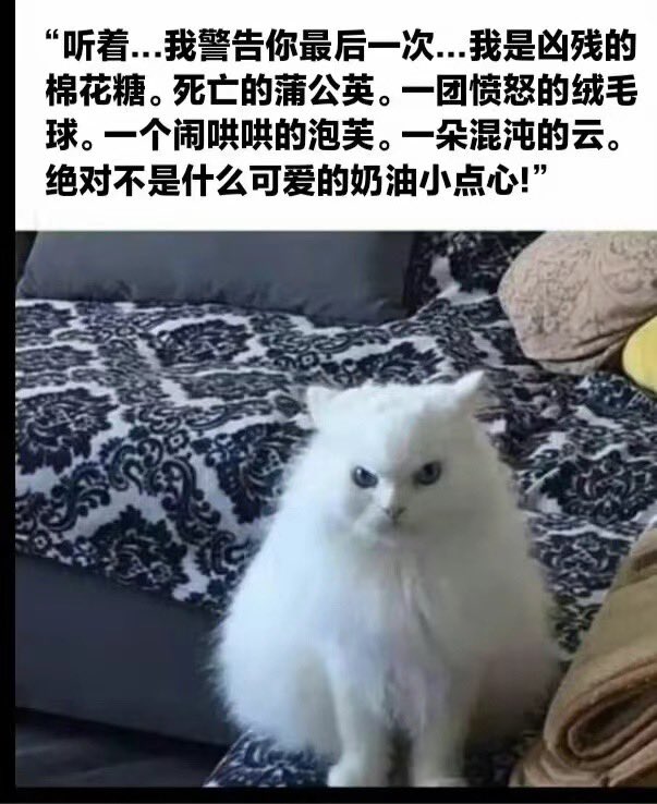 摆摆魔 tweet media