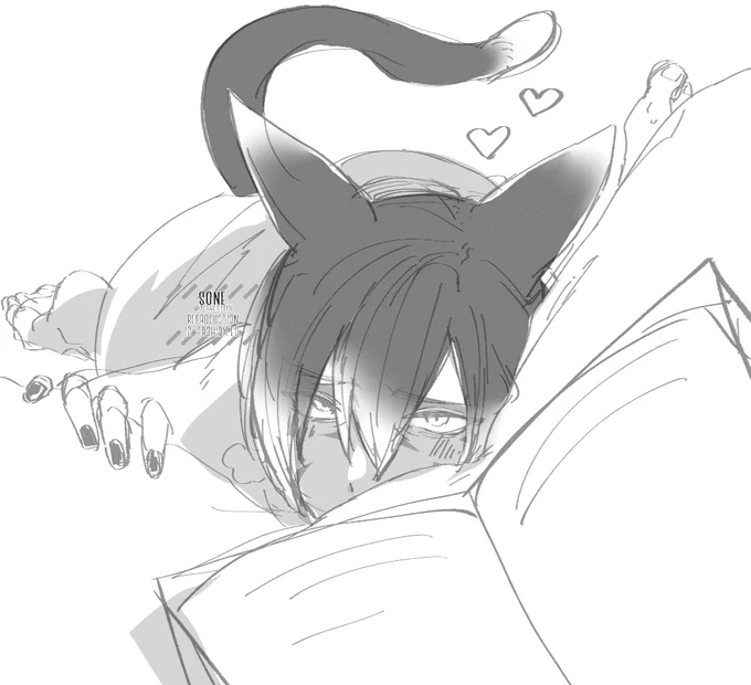 本読んでると股下に来る猫 じろくん 