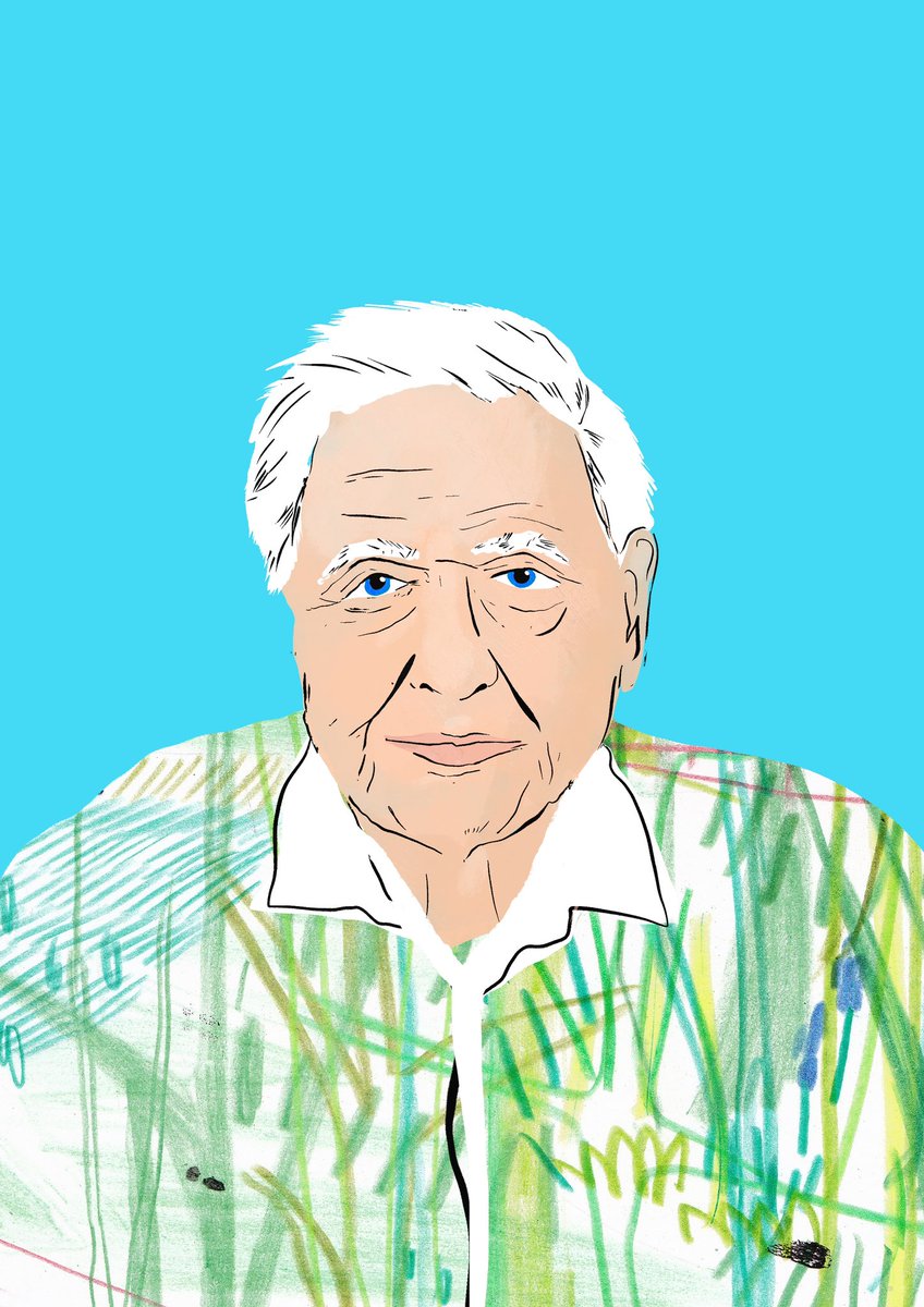 Fay Troote Illustration tweet media