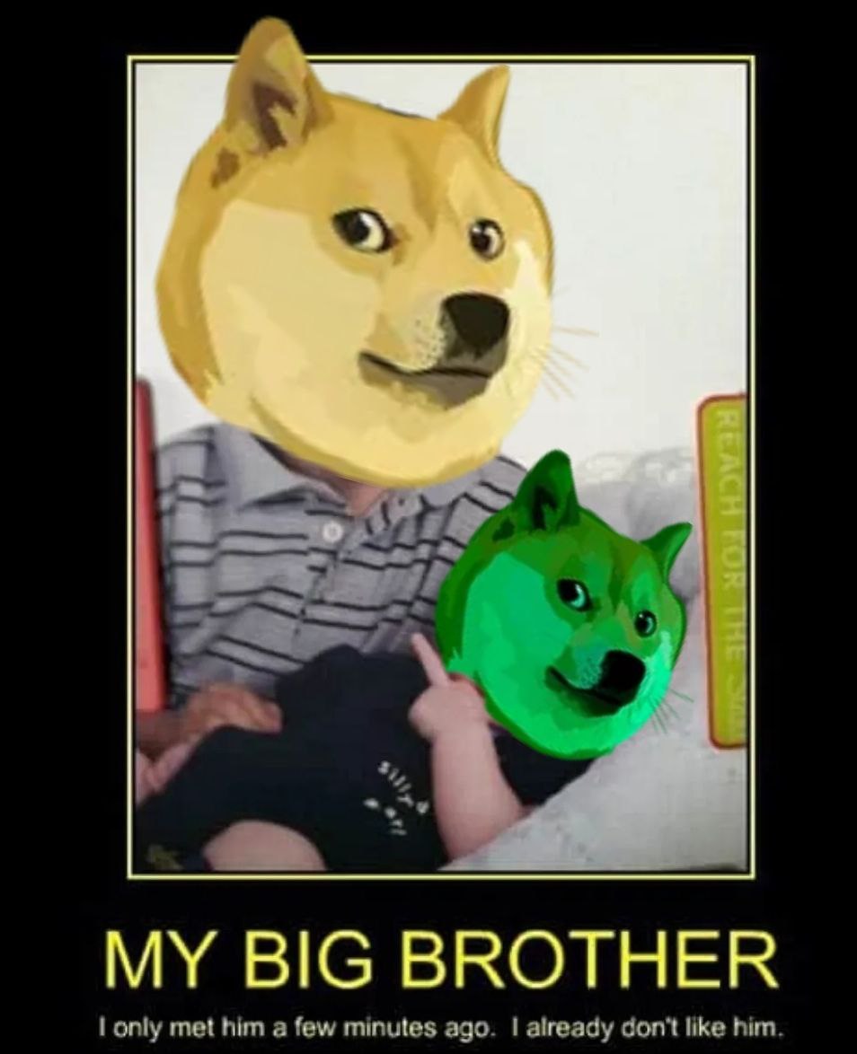 Real_GreenDoge's tweet photo. He had a baby brother?  👶 https://t.co/cB8JOpvdmZ