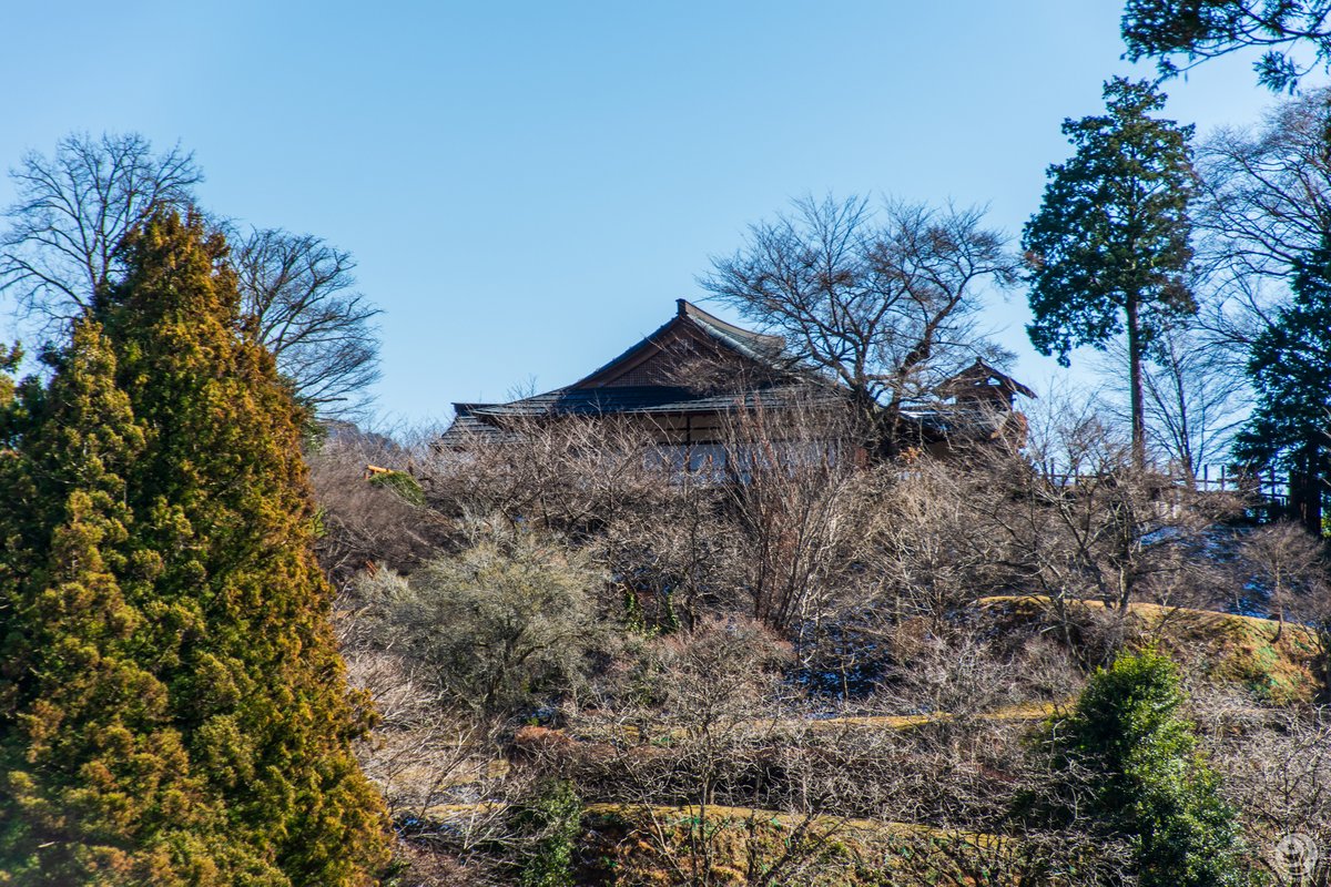 akenoshiropjt's tweet photo. 来たよ〜。
「田峯城」！

ふかふかの雪を纏���ている姿を期待してたけど・・・
無いね、雪。

#田峯城
#愛知県北設楽郡
#設楽町 https://t.co/d7HbLgKcKe