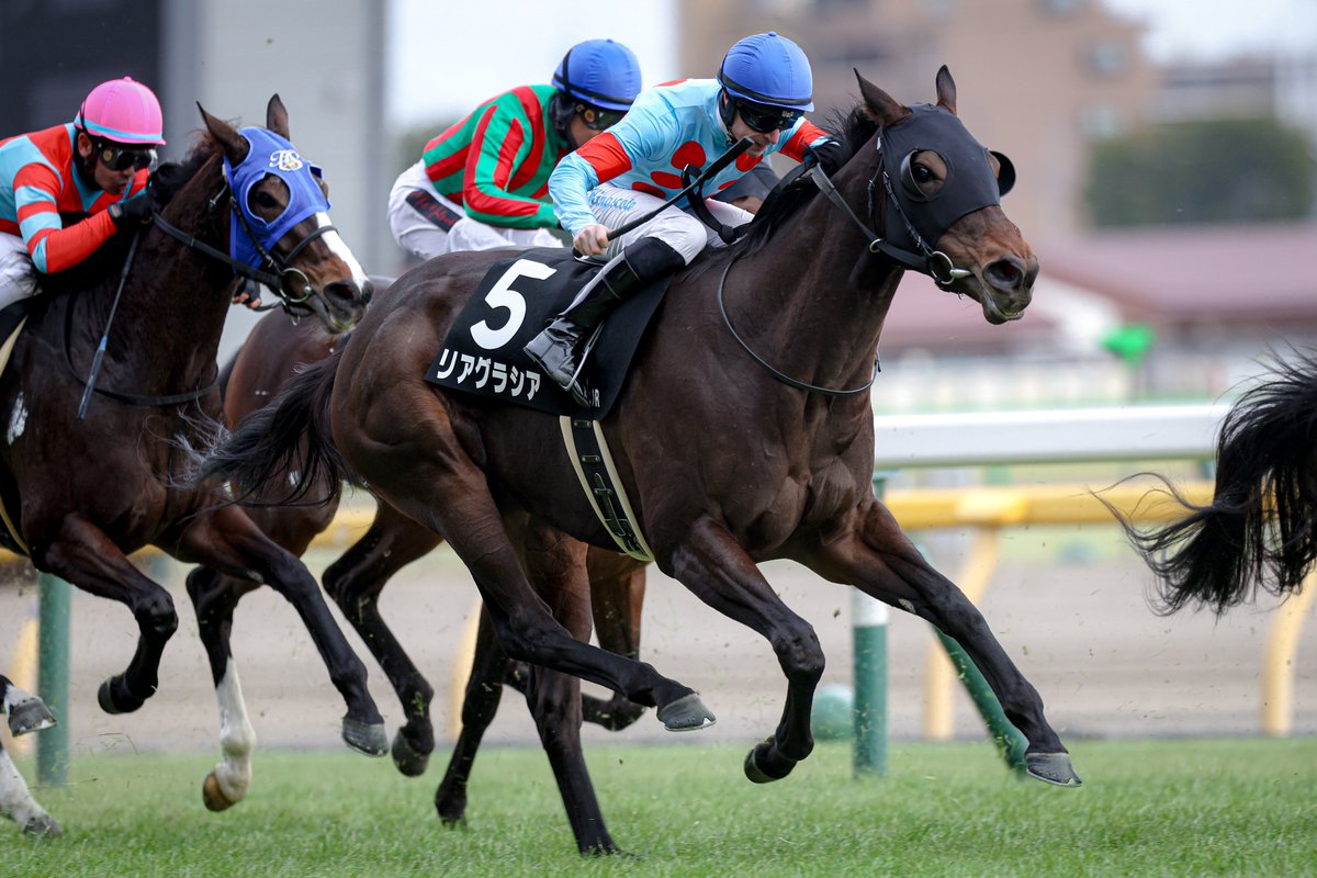 E3%83%AA%E3%82%A2%E3%82%B0%E3%83%A9%E3%82%B7%E3%82%A2