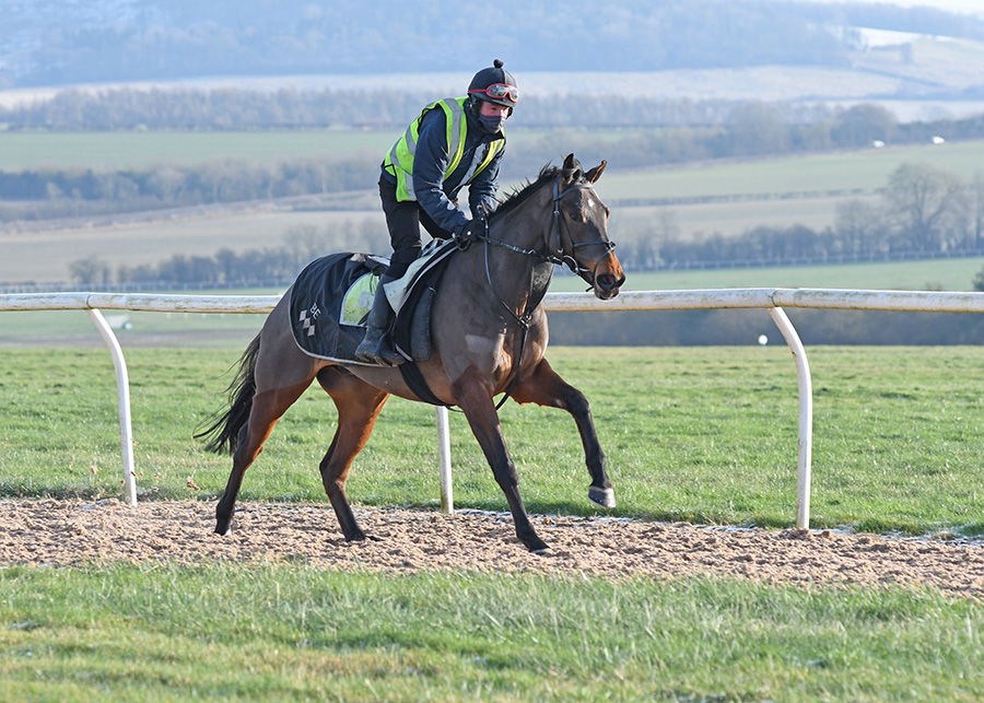 Brian Ellison Racing tweet media