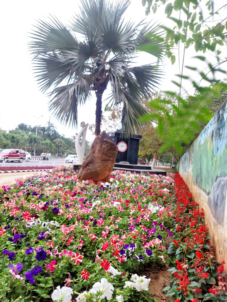The streets of Bhubaneswar glow with winter blossom.

#VisitBhubaneswar
#BhubaneswarFirst
#GreenCity