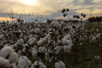salamone576's tweet photo. ECONOMY

Where Textile Mills Thrived, Remnants Battle for Survival
Apparel makers in the Carolinas say trade policy must change because of a boom in tariff-free shipments to U.S. consumers from foreign manufacturers. https://t.co/F7bRldU4r4