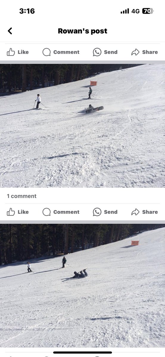 rowan fulwood tweet media