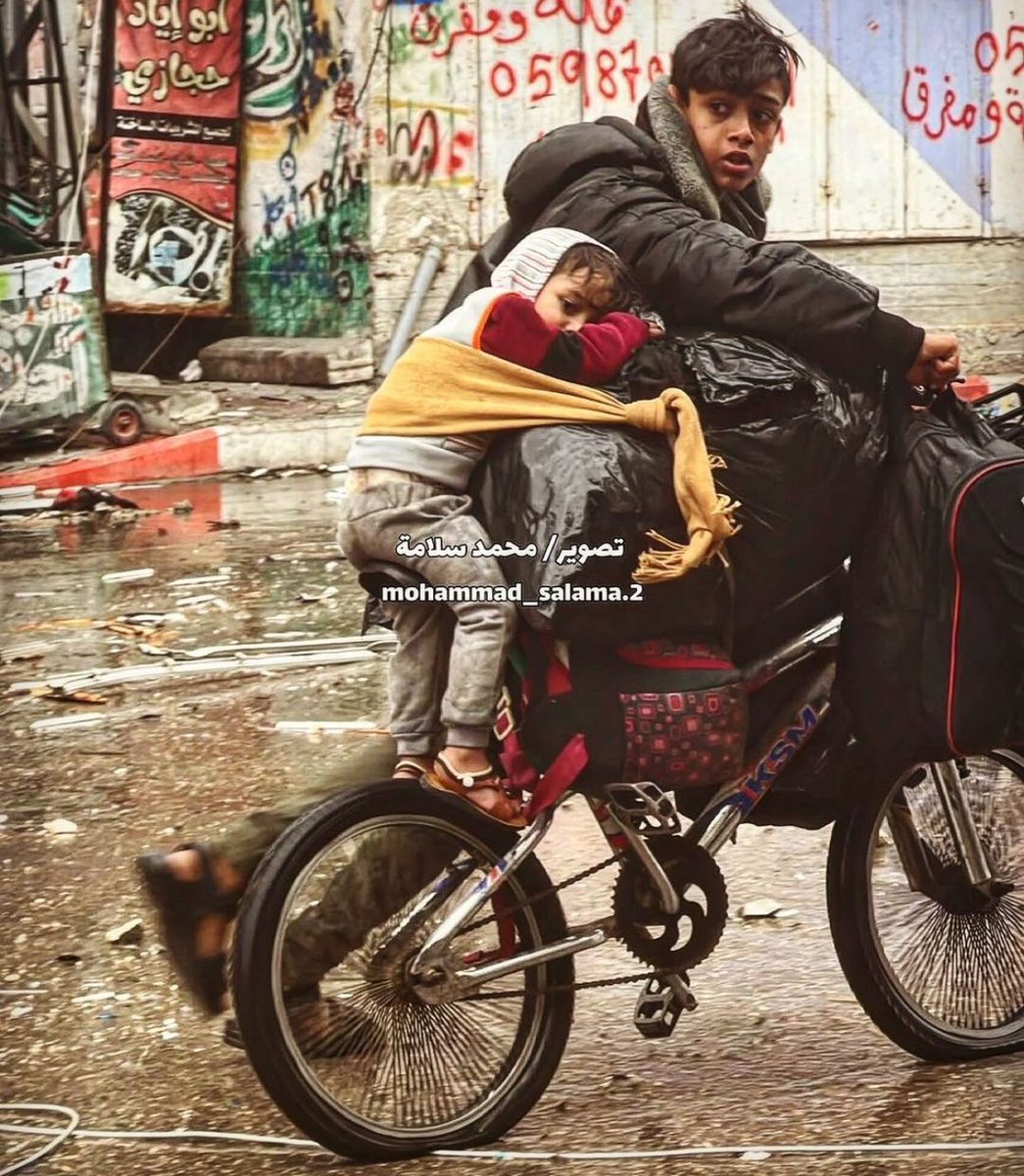 kutubusitte's tweet photo. Gazzalî/İhya:
Köpekler seni yakalayıp etini parçalarken seni gören ve buna ses çıkarmayan,merhamet ve hamiyeti onu harekete geçirmeyip seni öylece bırakan kardeş ne alçaktır?

Senin ırzın çiğnenirken ses çıkarmayan kardeşin ise etinin çiğnenmesine ses çıkarmayan da daha alçaktır. https://t.co/0zLj69gz6i