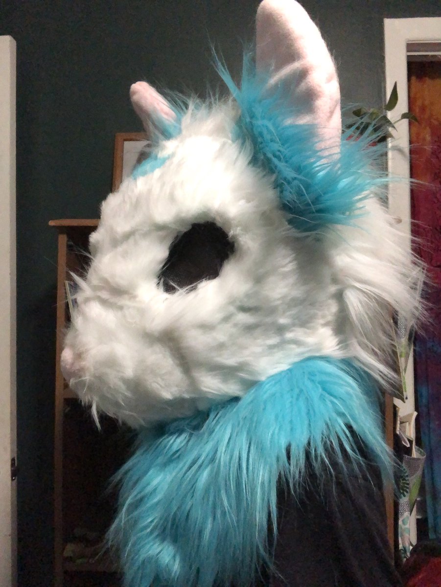 beetlebugz_'s tweet photo. Hi guys I have this rat suit I’m desperately trying to get rid of, he’s only been worn for a couple videos and has a few flaws (some places where I shaved too close and some places where you can see my marker) dm me with offers !! (Both money and suits work :]] ) https://t.co/FsM6rxKY3q