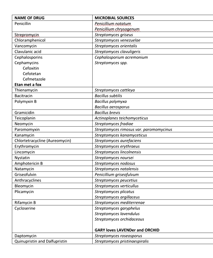 ✨MICROBIAL SOURCES OF ANTIBIOTICS✨