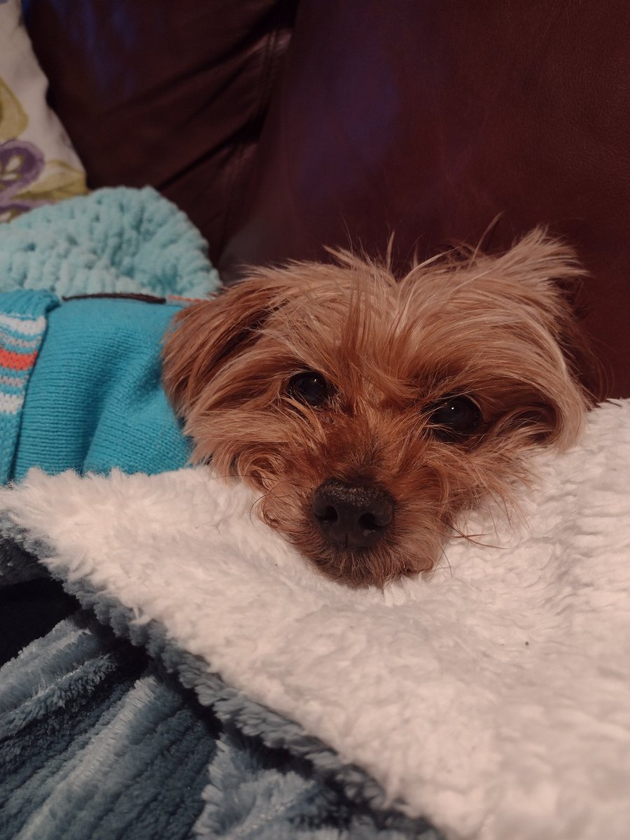 CLDBorn's tweet image. ❤️❤️❤️