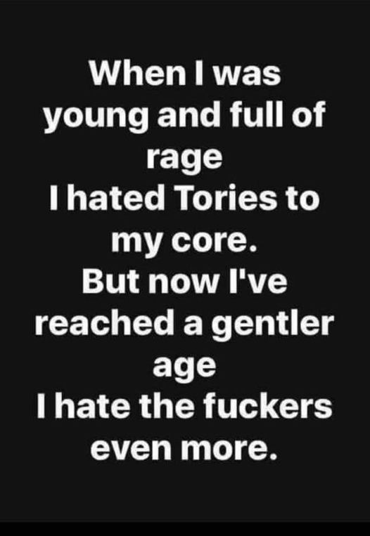 PennyPennyjr45's tweet image. So Sunak targeting over 50's.