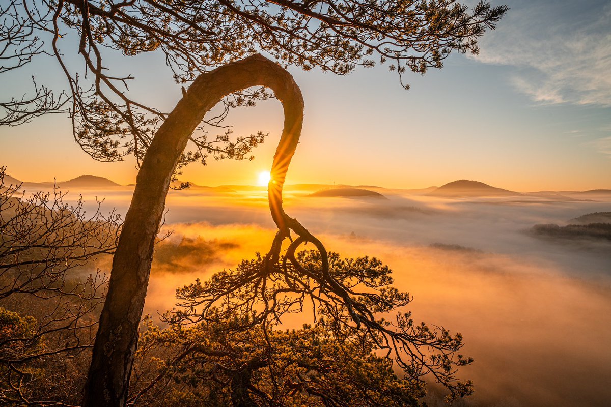 CedricSchell's tweet photo. La nature est si belle. https://t.co/c4vaHEOex8