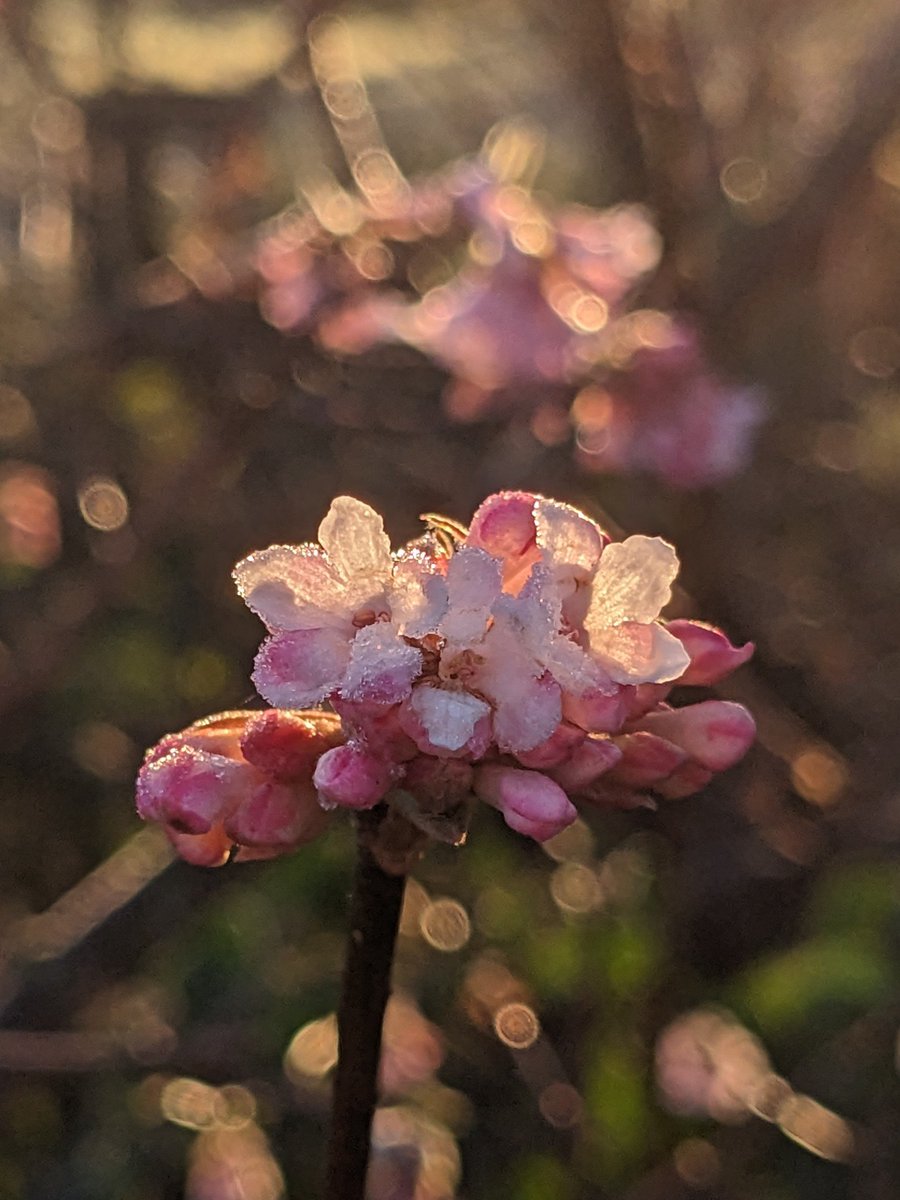 Lente hangt in de lucht