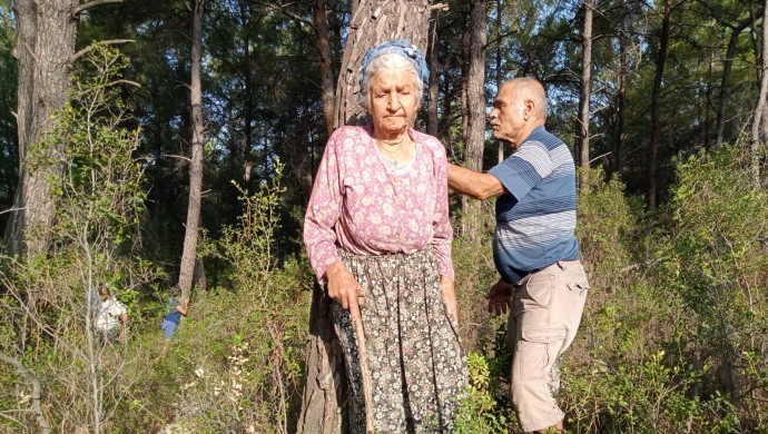 Akbelen ormanını savunmanın cezası 203 bin 445 TL, yağmalamak bedava etelgraf.com/akbelen-ormani… <a href="/etelgraf/">Telgraf</a> aracılığıyla