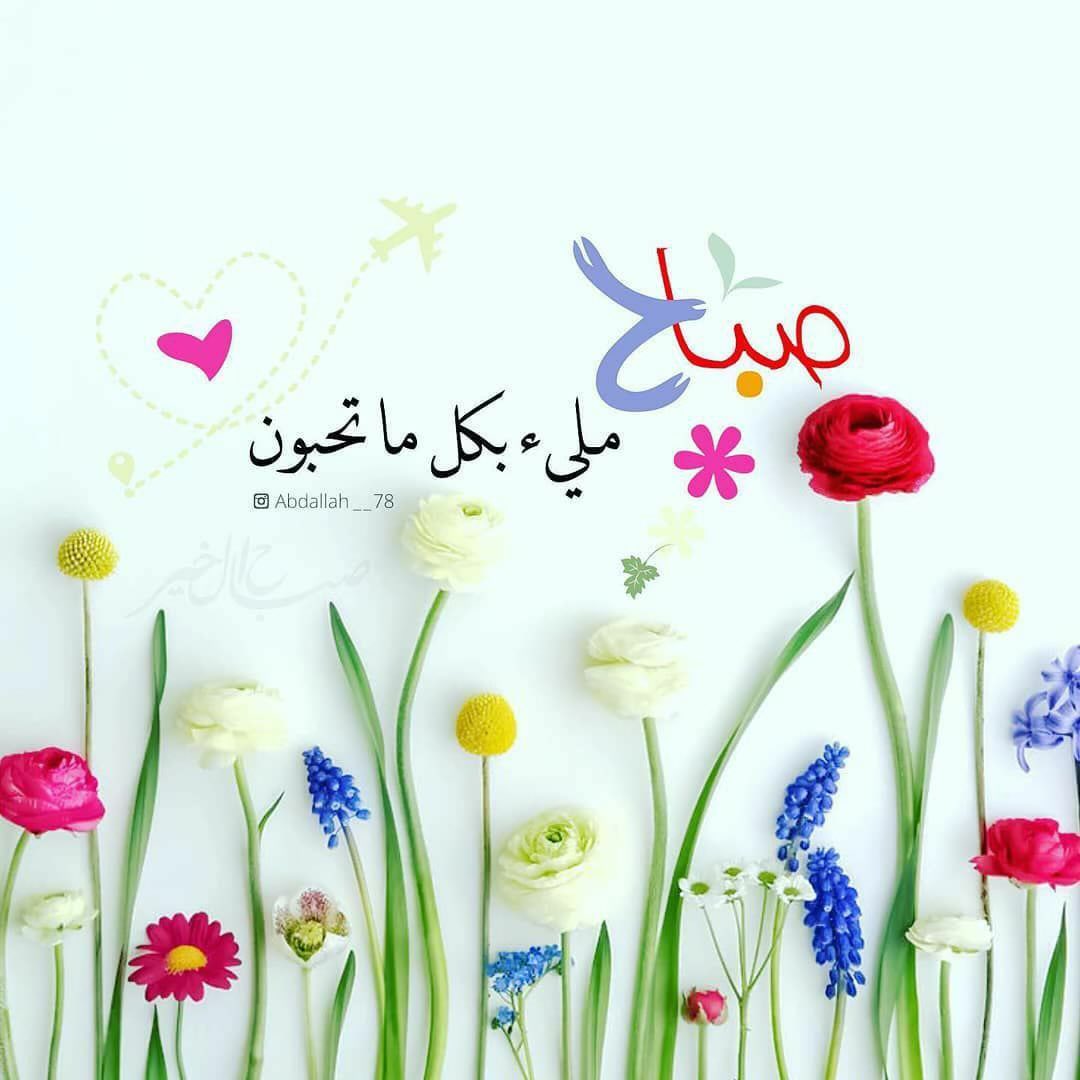 حمود tweet media