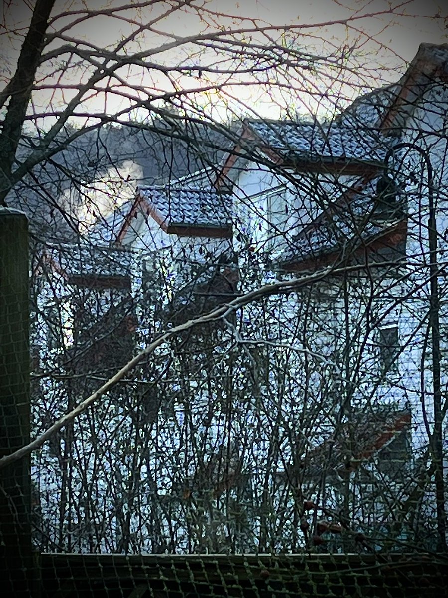 katharina_munz's tweet photo. Ich will ja nicht meckern, aber wohin ist diese #WinterHitze entschwunden, die es ermöglichte, die Heizung auszustellen?
Verdampft?
Verglüht?
Oder ist es bei uns nur „gefühlt“ kalt - und es gibt den zentimeterdicken Reif auf Autos und Dächern in Wirklichkeit gar nicht - weil in den Ländern um uns herum noch viel viel heißeres Winterwetter?
