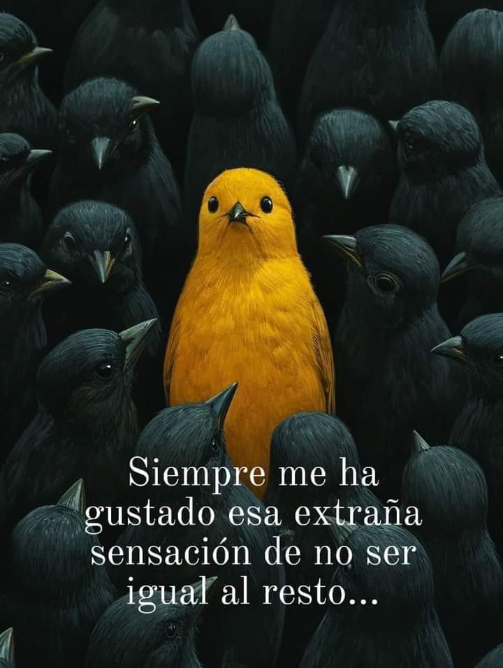 VidaEquilibrad4's tweet image. 