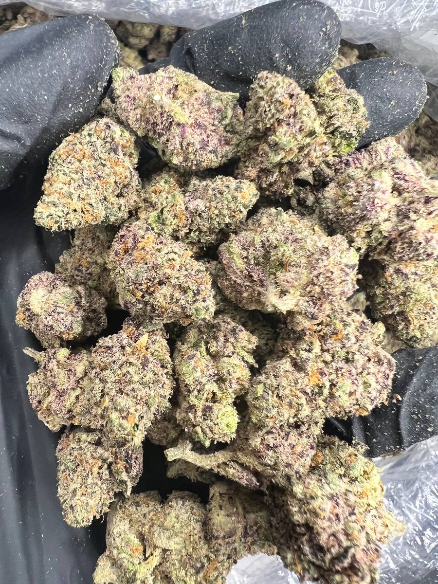 Purple Push Pop Local:$1100p Shipped:$1300p/$700hp/$375qp/$110oz Indoor Limited quantity