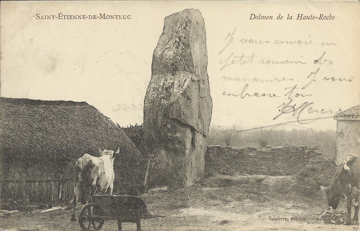 This 1903 card by a publisher called Santerre shows the 4m tall menhir of La Haute Roche in St-Étienne-de-Montluc (Loire-Atlantique) in a farmyard surrounded by cows, a thatched barn and an old barrow. The menhir fell over in 2010 but was re-erected in 2021. #StandingStoneSunday.