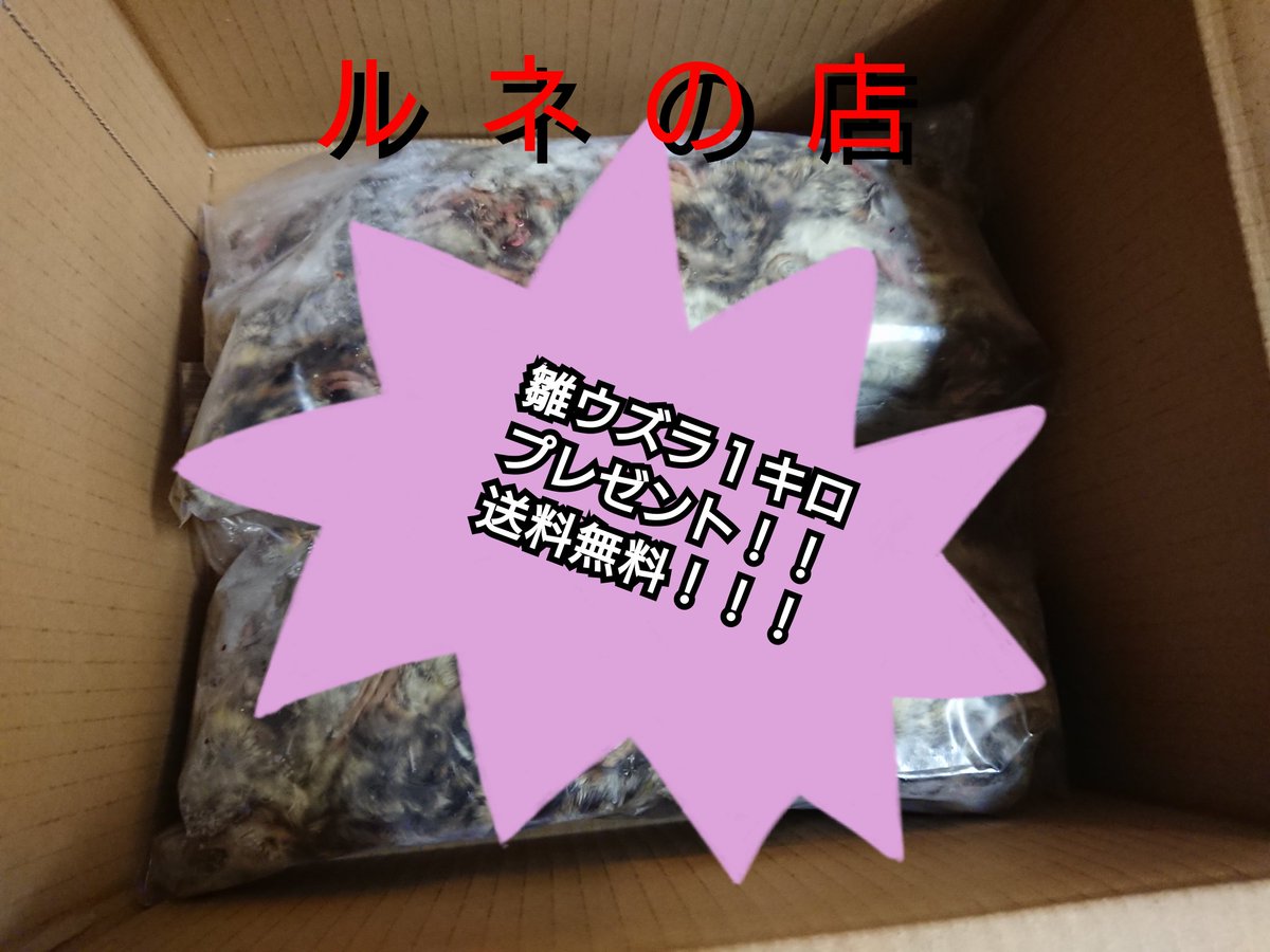 餌専門店として4周年を記念して冷凍雛ウズラをお一人様1キロを合計三名様へプレゼントします✨🎁✨
もちろん送料は当方で負担！！
1 ルネの店をフォロー
2 この投稿をいいね&amp;RT

さらに
#ルネの店の餌をあげたい子
と投稿してもらえたら当選確率アップ⤴️2月8日に抽選、結果発表させて頂きます。
