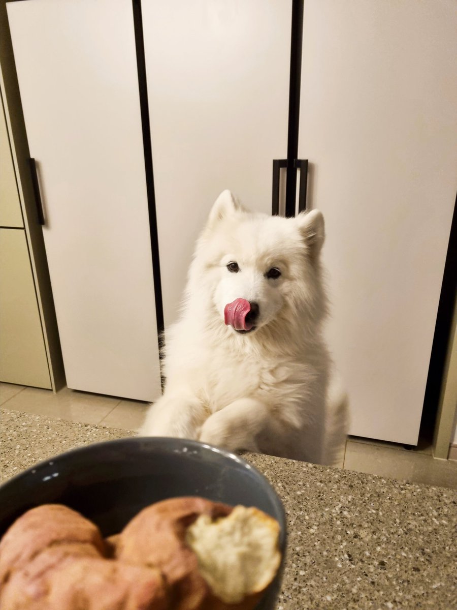 polarsom's tweet image. 사람꺼야...!