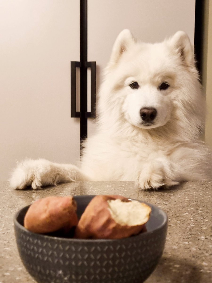 polarsom's tweet image. 사람꺼야...!